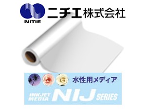 nichie-NIJ-suisei300225