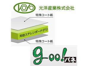 koyo-goopane-300225