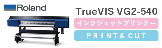TrueVIS-VG2-540